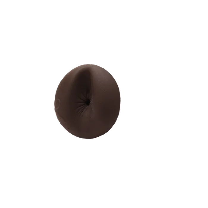 Vibrators Fleshlight Reign